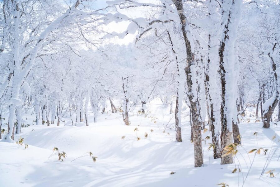 Noboribetsu: Orofure Pass Snowshoeing Tour - Orofure Pass: The Noboribetsu Winter Setting You Can Actually Experience