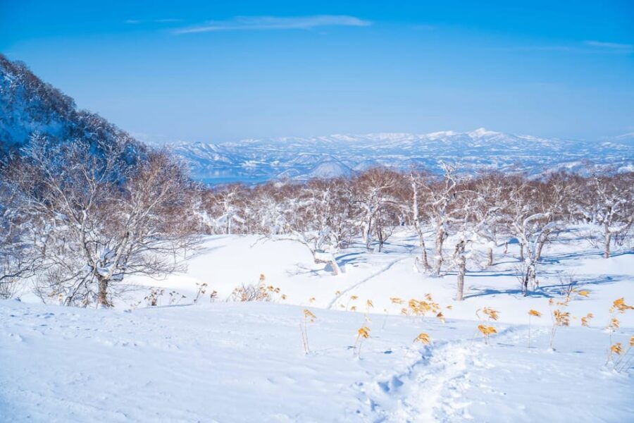 Noboribetsu: Orofure Pass Snowshoeing Tour - Ridgeline Views: Mt. Orofure, Mt. Yotei, and Lake Toya Potential