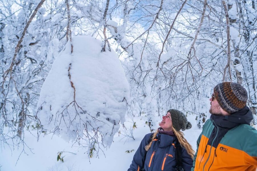 Noboribetsu: Orofure Pass Snowshoeing Tour - Price and Value: Is $154 a Fair Deal?