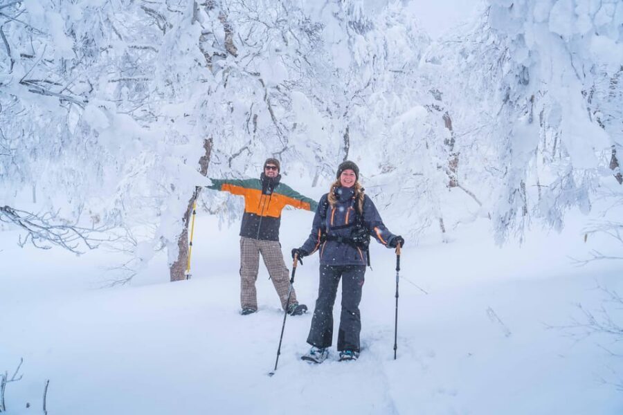 Noboribetsu: Orofure Pass Snowshoeing Tour - The 5-Hour Flow: What Happens From Pickup to Drop-Off