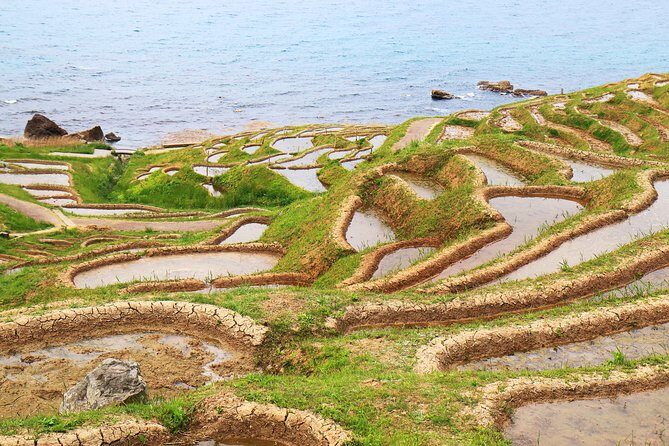 Noto peninsula 1 day/Photoshoot with professional photographer - Shiroyone Senmaida rice terraces: the viewpoint that keeps giving