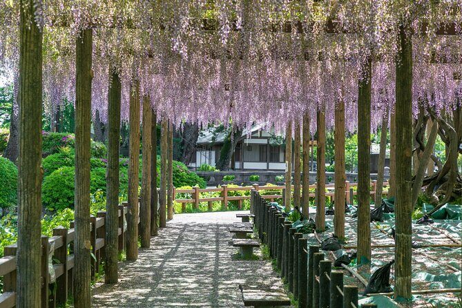 Odawara Castle and Town Guided Discovery Tour - Stop 1: Odawara Station Tourist Information Center