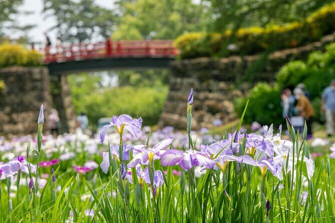 Odawara Castle and Town Guided Discovery Tour - Stop 2: City Walking Tour Around Odawara