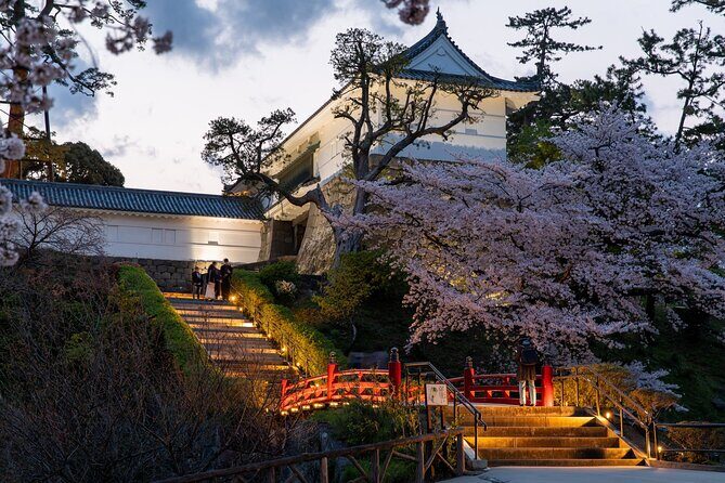 Odawara Castle and Town Guided Discovery Tour - Stop 4: Ninja-kan Museum (What Ninja Really Were)