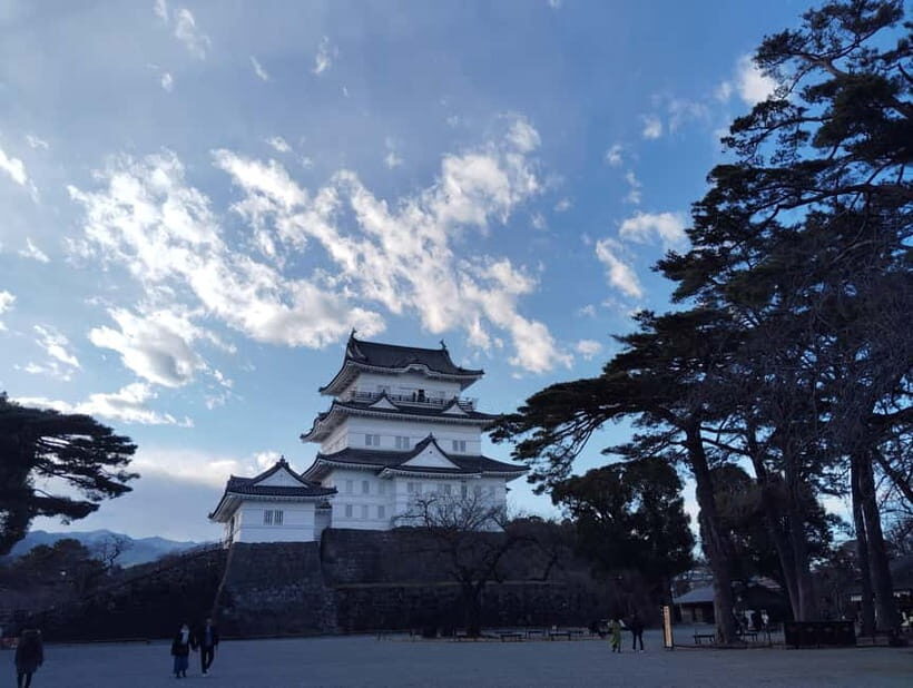 Odawara: Castle Guided Tour with Panoramic Views - Hojo clan ambitions, exhibits, and architecture that make sense