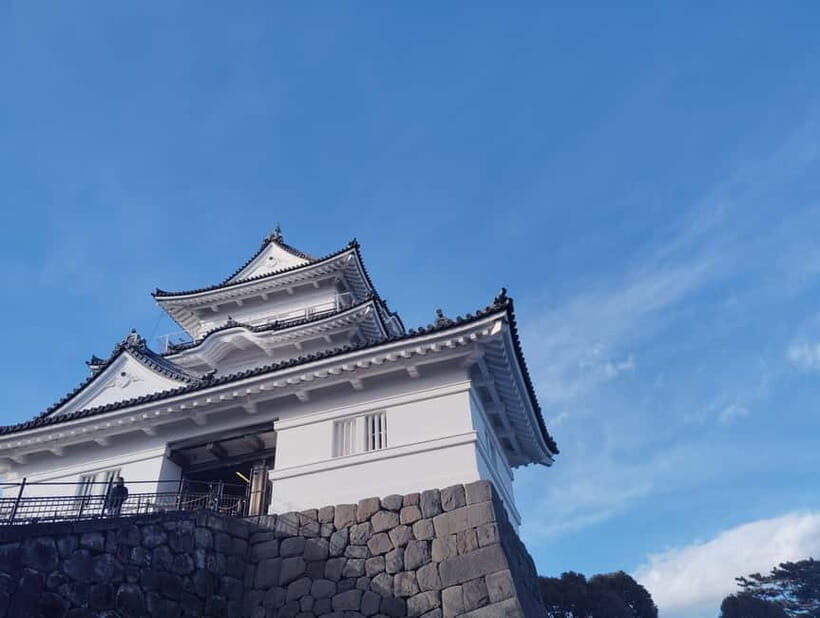 Odawara: Castle Guided Tour with Panoramic Views - Time, pacing, and who this private tour is best for
