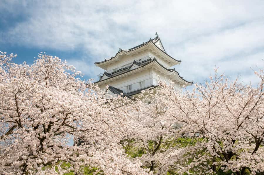 Odawara: Guided Ninja & Samurai Tour of Odawara Castle - Meeting at the Ninja Museum and getting oriented fast