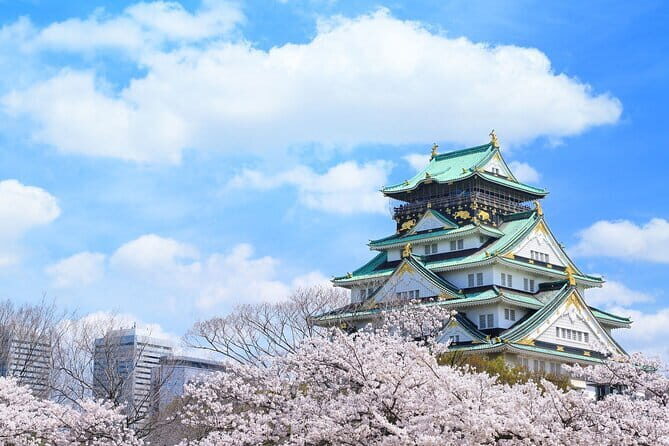 Official Japan Go-Kart Through Osaka Castle - Osaka Castle by kart: a classic landmark with street-level energy