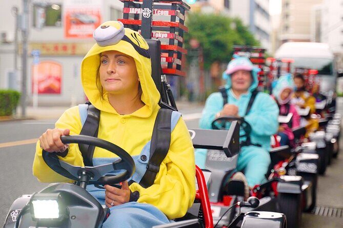 Official Japan Go-Kart Through Tokyo Bay / Ginza (IDP Required) - IDP Rules: The Part That Can Ruin Your Day (So Don’t Wing It)