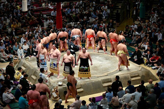 Official Sumo Tournament Ticket with Guided Experience - The real payoff: watching live bouts in Ryogoku