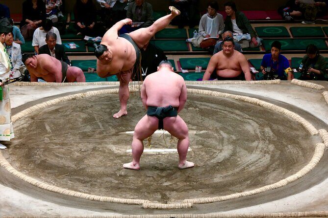 Official Sumo Tournament Ticket with Guided Experience - Reserved seats (B or C, second floor): how to think about value