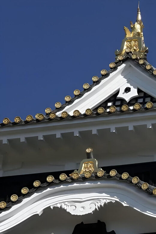 Okayama Castle Admission Ticket - The tower experience and photo stops: enjoy what you can, know what to expect