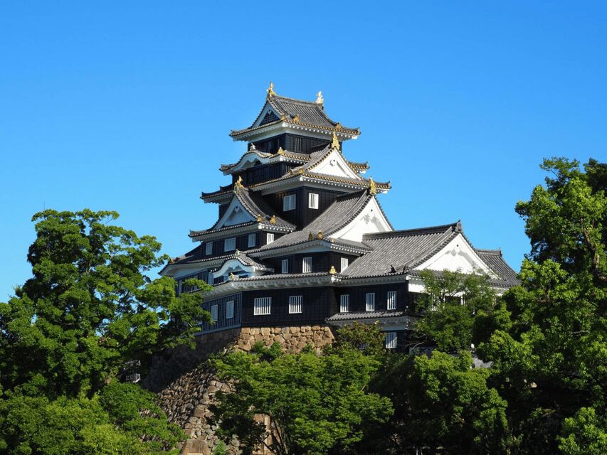 Okayama Castle Admission Ticket - Getting inside: Warring States and Edo-period exhibits that actually stay on topic