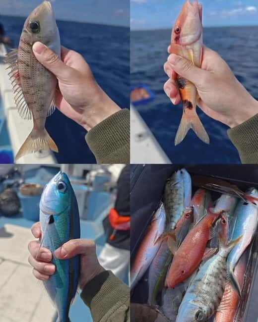 Okinawa: 1/2-Day Private Sea Fishing Charter, Naha w/Pickup - Optional cooking at sea and at Ichiroya near Kokusai Dori