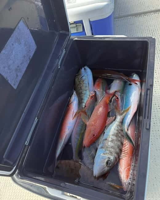 Okinawa: 1/2-Day Private Sea Fishing Charter, Naha w/Pickup - Quick logistics that can affect your day