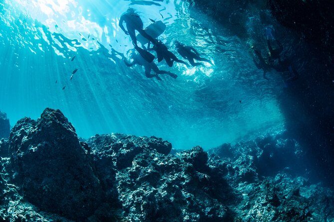 [Okinawa Blue Cave] Snorkeling with Private Guide+ Free Photos - Free photo and video service that reaches your phone