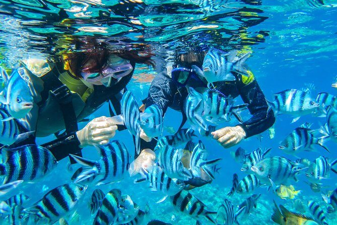 [Okinawa Blue Cave] Snorkeling with Private Guide+ Free Photos - Cape Maeda stop: the warm-up where fish spotting starts