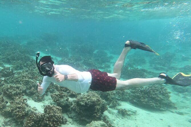 Okinawa: Boat Fun Diving at Minna, Sesoko or Motobu - Instructor Care: Why People Keep Mentioning Hisashi