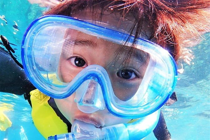 Okinawa: Boat Fun Diving at Minna, Sesoko or Motobu - Price and Value: Why $195.11 Makes Sense for What You Get