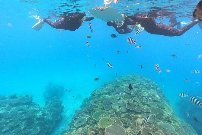 Okinawa: Boat Snorkeling 2 Rounds at Minna, Sesoko or Motobu - Your 4-hour rhythm: two rounds, one easy pace
