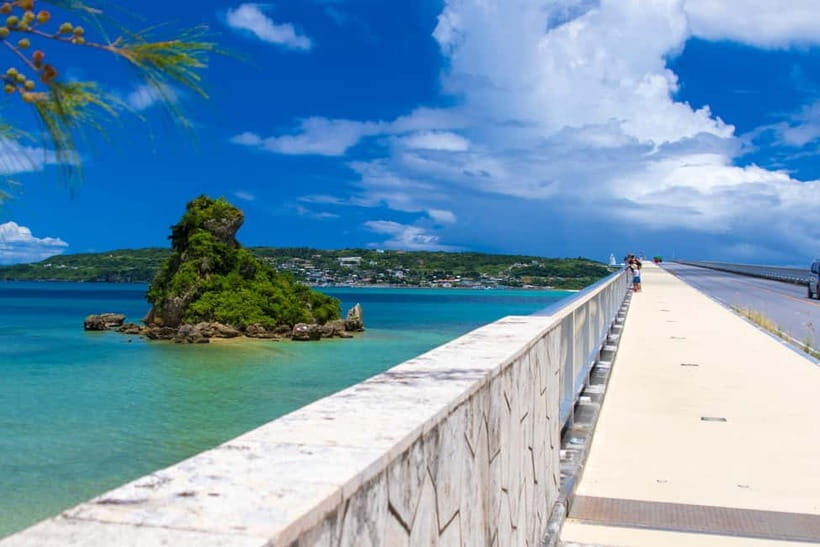 Okinawa Churaumi or Tropical, Kouri American Village BusTour - Choosing Churaumi Aquarium or Tropical Dream Center at Ocean Expo Park
