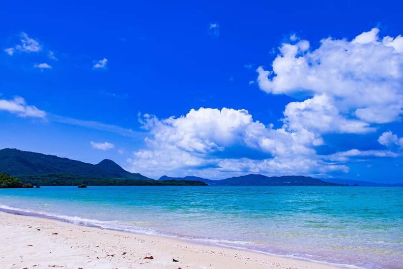 Okinawa Classic Highlights & Flexible Routes: Private Tour - How the Route Choice Shapes Your One-Day Okinawa Plan