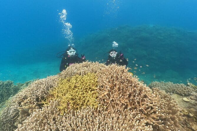 Okinawa: Discover SCUBA Diving 2 Dives at Minna, Sesoko or Motobu - Should You Book This Motobu SCUBA Intro?