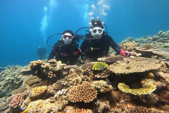 Okinawa: Discover SCUBA Diving 2 Dives at Minna, Sesoko or Motobu - Two Underwater Sessions: What Each Half of the Day Feels Like