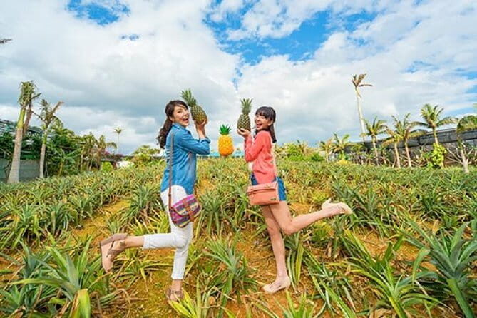 Okinawa HIP-HOP BUS A Course Tour | Churaumi Aqualium,Kori Island - Price and what you actually get for $52.18