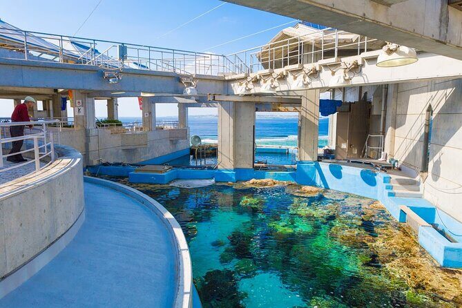 Okinawa HIP-HOP BUS B - 1 Course Tour (Okinawa Churaumi Aquarium) - The day’s rhythm: how the 8:10 AM bus tour actually feels