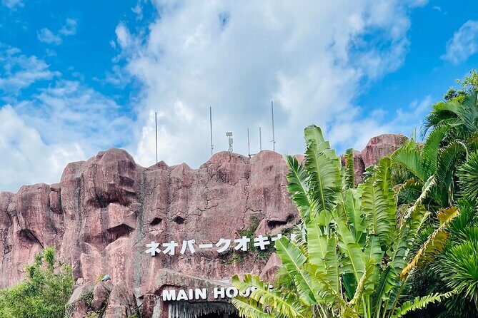 Okinawa HIP-HOP BUS B - 1 Course Tour (Okinawa Churaumi Aquarium) - Who this tour suits best