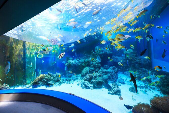Okinawa HIP-HOP BUS B - 1 Course Tour (Okinawa Churaumi Aquarium) - Cape Manzamo cliffs: the quick stop that pays off