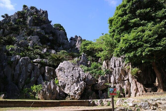 Okinawa Hip-Hop Bus C Course Tour to Northern Island - Key highlights at a glance