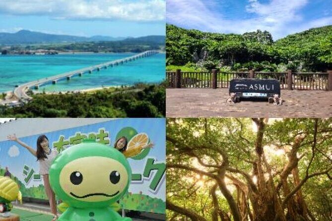 Okinawa Hip-Hop Bus C Course Tour to Northern Island - The vibe: a long northern circuit from Naha