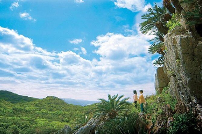 Okinawa Hip-Hop Bus C Course Tour to Northern Island - Cape Hedo: the northernmost point energy