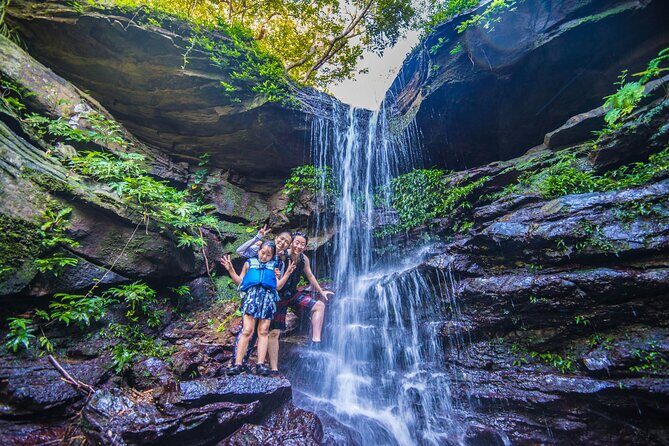 Okinawa Iriomote Mangrove SUP or Canoe Tour - Key Highlights You’ll Feel Right Away