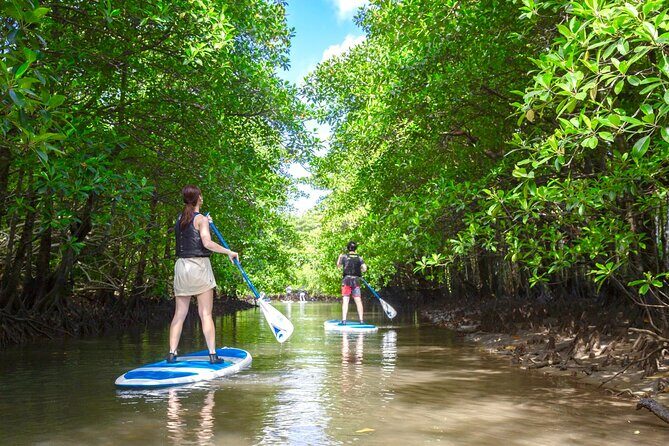 Okinawa Iriomote Mangrove SUP or Canoe Tour - What to Wear: Expect Wet Clothes and Bring a Towel
