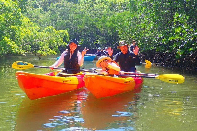 Okinawa Iriomote Mangrove SUP or Canoe Tour - Pickup, Meeting Point, and Timing That Don’t Waste Your Day