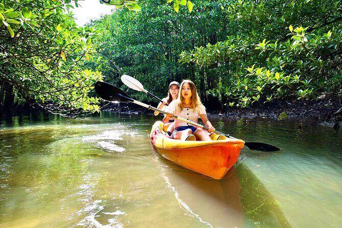 Okinawa Iriomote Mangrove SUP or Canoe Tour - Price and Value: What $52.40 Buys You for Two Hours