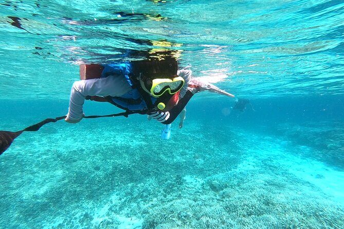 Okinawa Iriomote Snorkeling Tour at Coral Island - Showers After: The Underrated Part