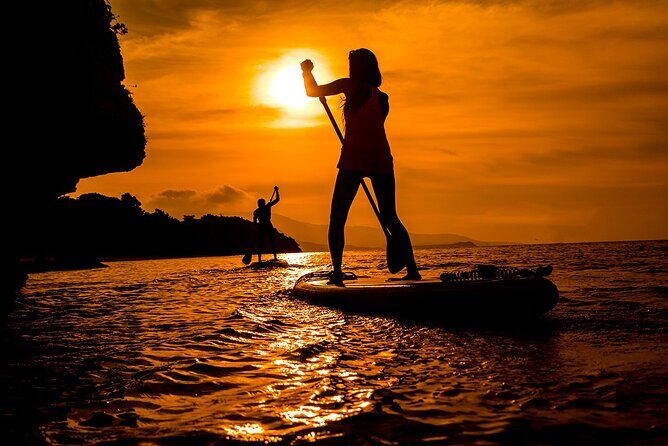 Okinawa Iriomote Sunset SUP or Canoe Tour in Iriomote Island - How the mangroves turn into a sunset show