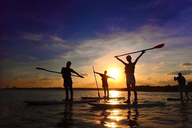 Okinawa Iriomote Sunset SUP or Canoe Tour in Iriomote Island - Value check: is $56.09 worth it for 2 hours?
