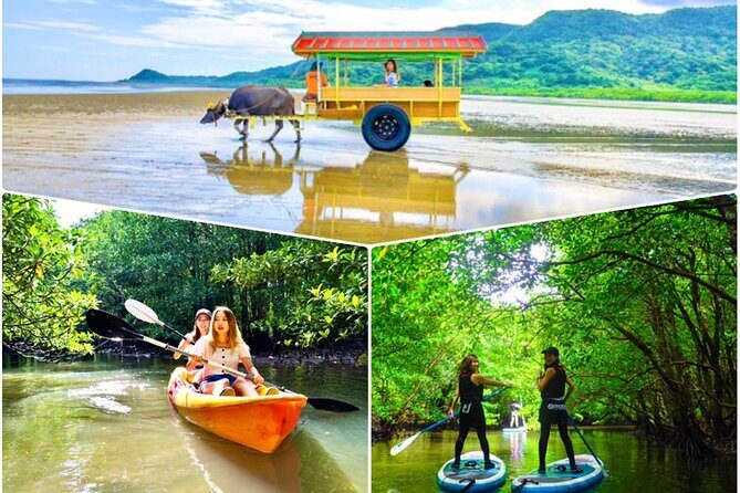 Okinawa Iriomote SUP or Canoe and Sightseeing in Yubujima Island - Key highlights worth planning around