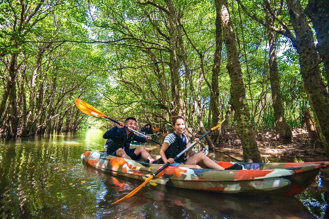 Okinawa Iriomote SUP or Canoe and Sightseeing in Yubujima Island - Price and value: what $82.58 really buys
