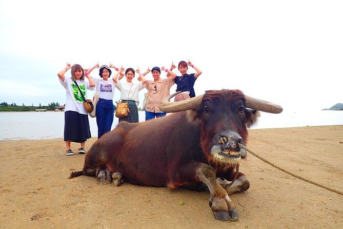 Okinawa Iriomote SUP or Canoe and Sightseeing in Yubujima Island - Stop 2 on Iriomote-jima: second session, new field energy