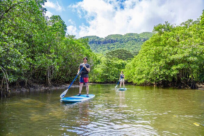 Okinawa Iriomote SUP or Canoe and Sightseeing in Yubujima Island - SUP or canoe: which one fits your comfort level