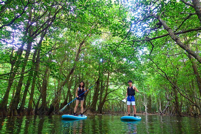 Okinawa Iriomote SUP or Canoe and Sightseeing in Yubujima Island - What to wear so you don’t regret it
