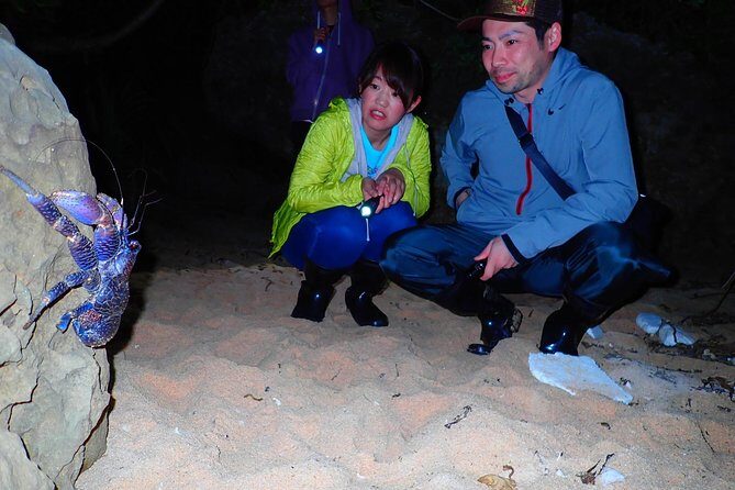 Okinawa Iriomotejima Night Adventure Tour - Rain, tides, and safety: what can change on the fly