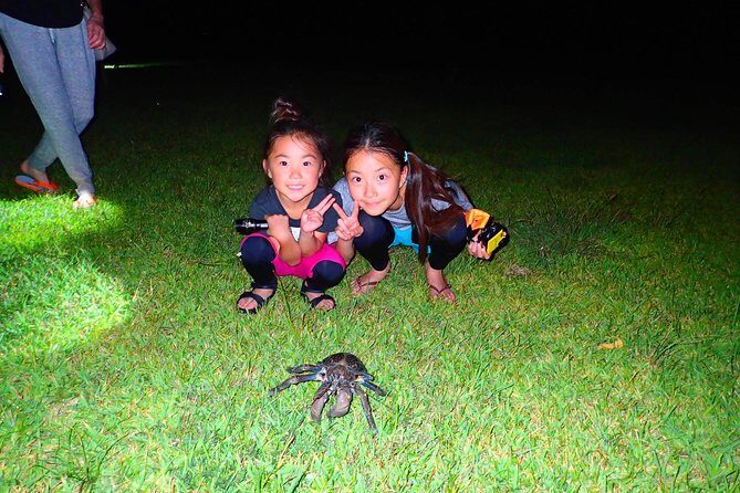 Okinawa Iriomotejima Night Adventure Tour - From pickup to drop-off: how the 90-minute plan actually feels