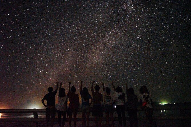 Okinawa Ishigaki Island Night Starry sky and Jungle night tour - Key things I’d circle before you go